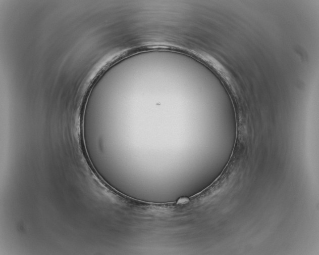 X0000113371191200909291044