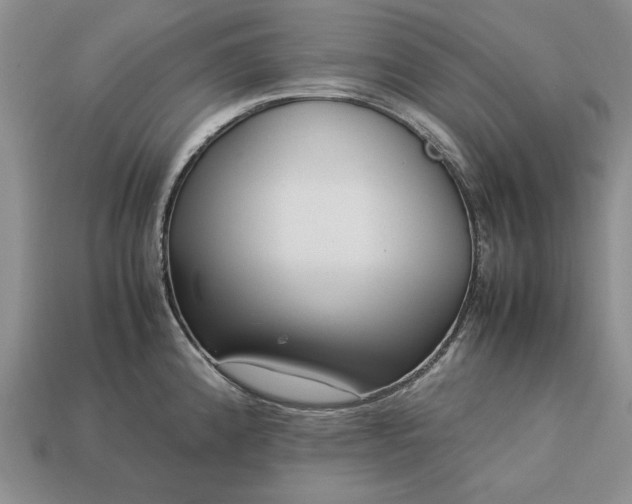 X0000113371192200909291044