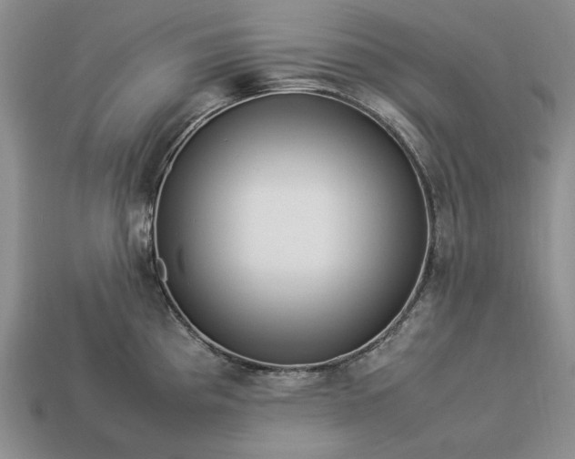 X0000113371193200909291044