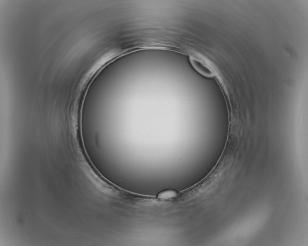 X0000113371195200909291044