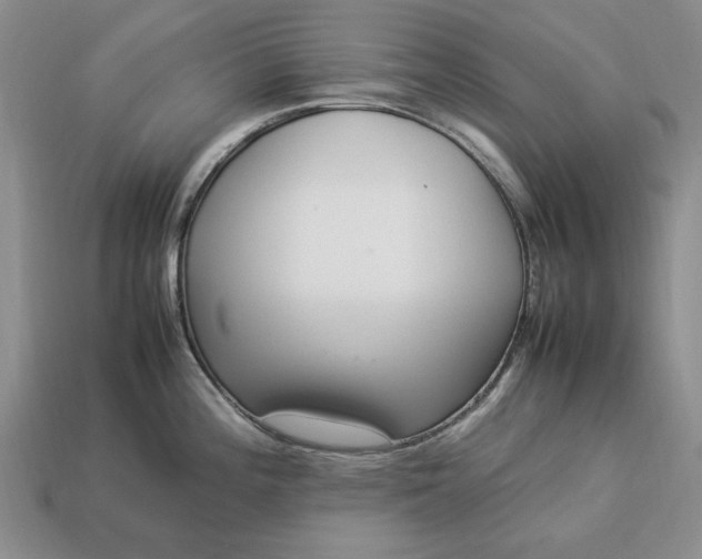 X0000113371196200909291044