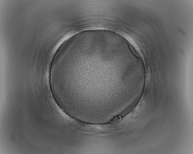 X0000113371197200909291044