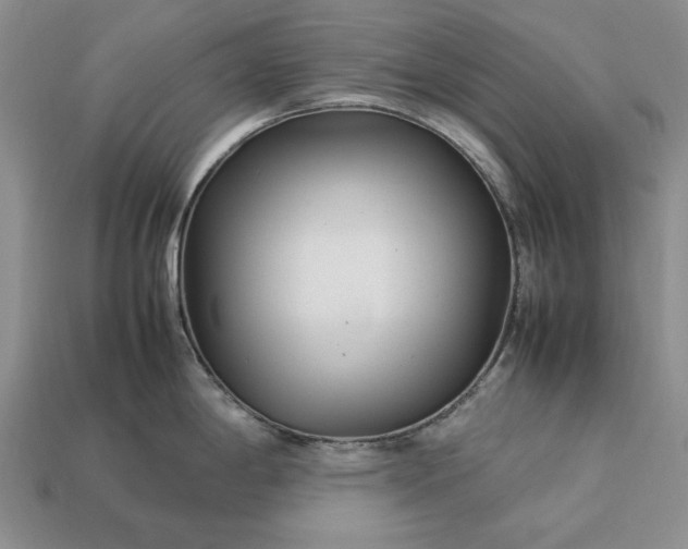 X0000113371198200909291044