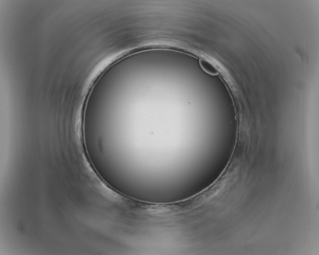 X0000113371199200909291044