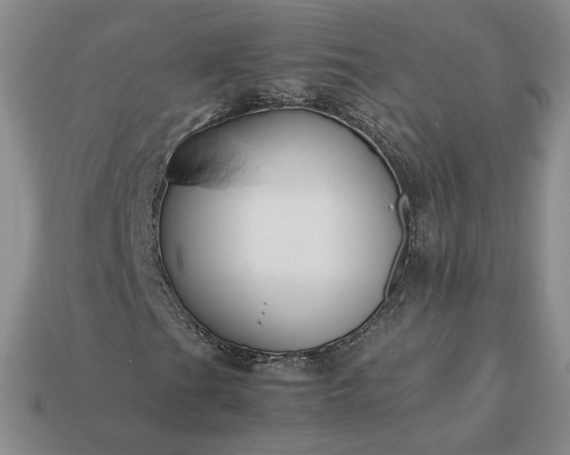 X0000113371201200909291044