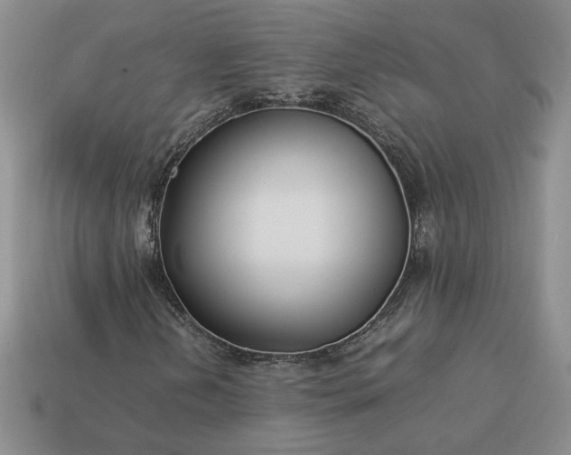 X0000113371202200909291044