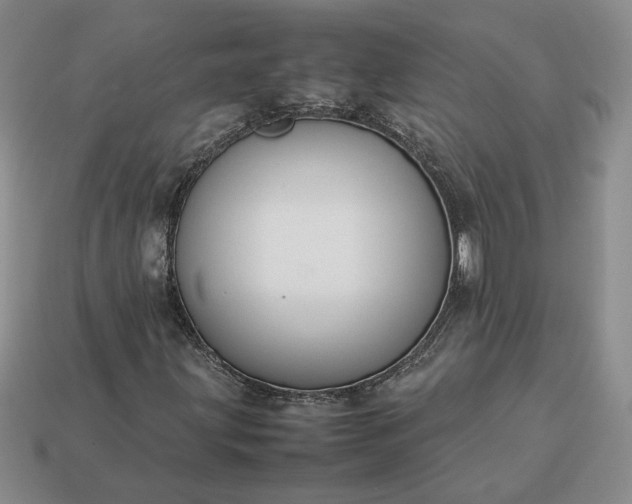 X0000113371203200909291044