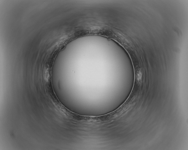 X0000113371204200909291044