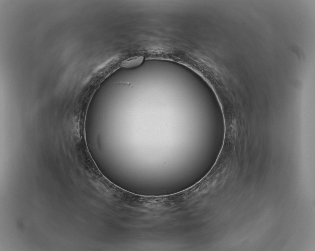 X0000113371205200909291044