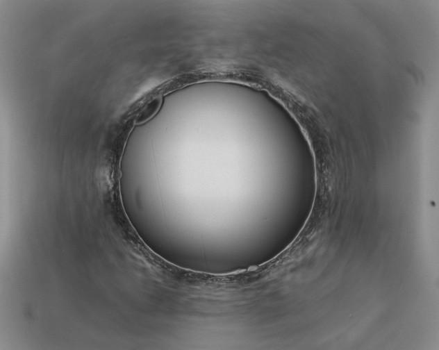 X0000113371206200909291044