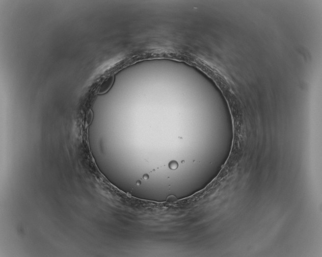 X0000113371207200909291044