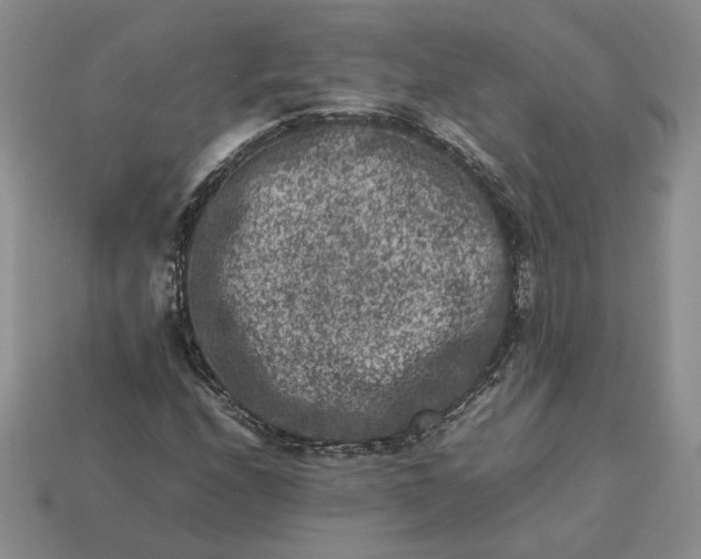 X0000113371208200909291044