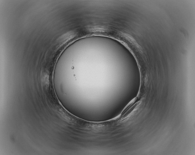 X0000113371209200909291044