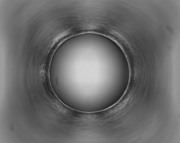 X0000113371210200909291044