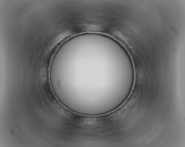 X0000113371211200909291044