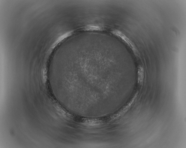 X0000113371213200909291044