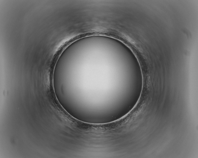 X0000113371214200909291044