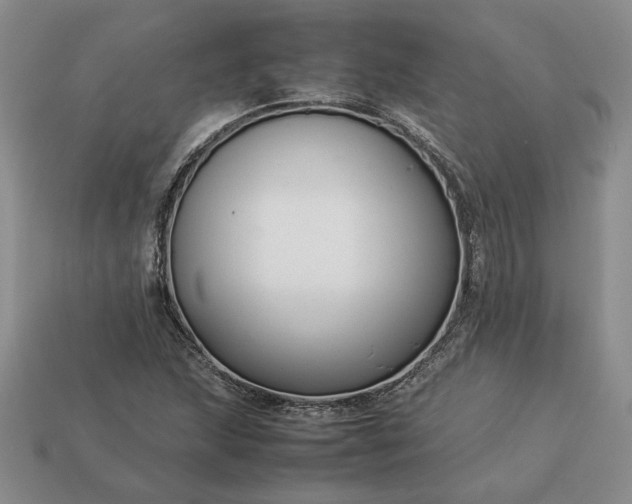 X0000113371215200909291044