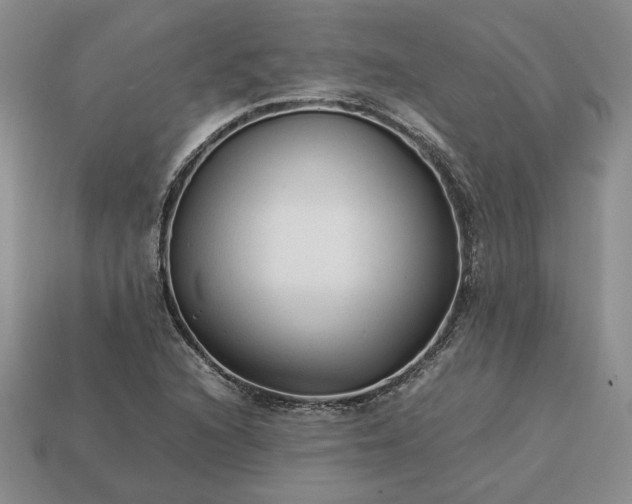 X0000113371216200909291044