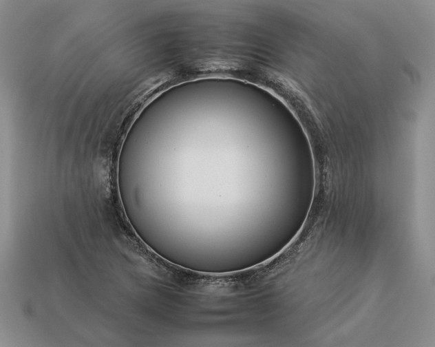 X0000113371217200909291044