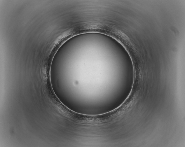 X0000113371218200909291044