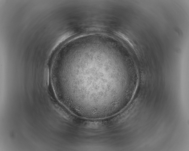 X0000113371219200909291044