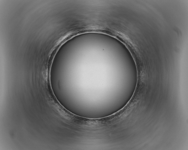 X0000113371220200909291044