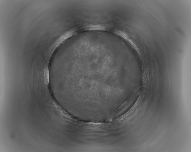 X0000113371221200909291044