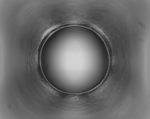 X0000113371222200909291044