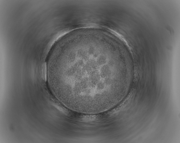 X0000113371223200909291044