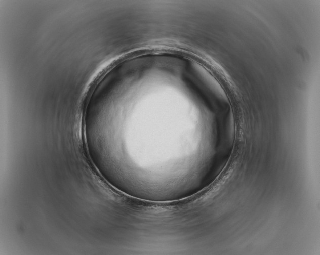 X0000113371224200909291044