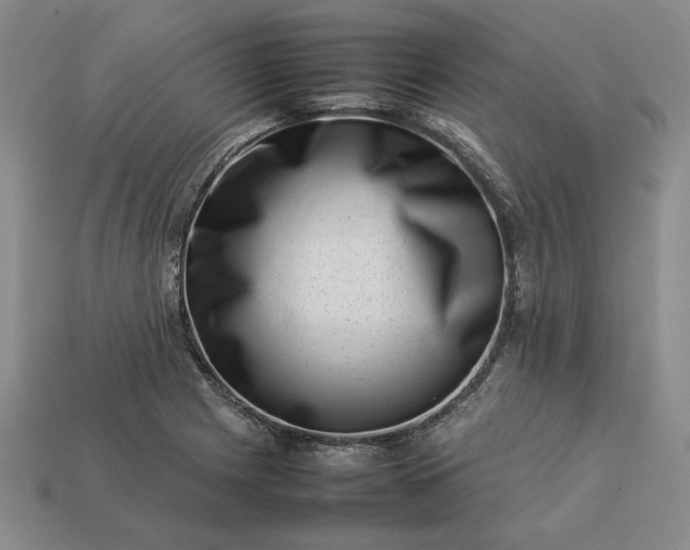 X0000113371225200909291044