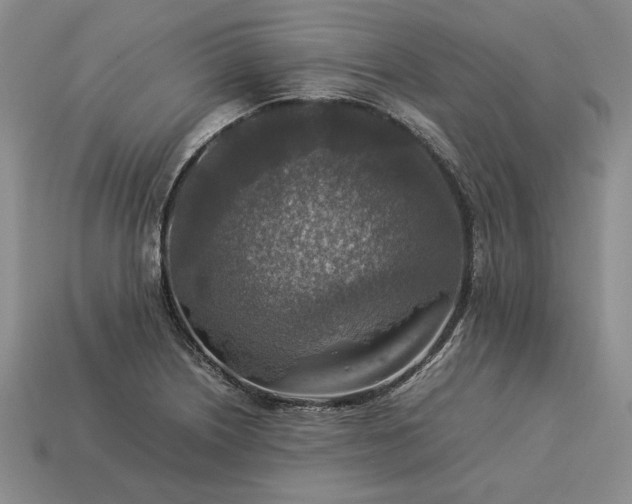 X0000113371226200909291044