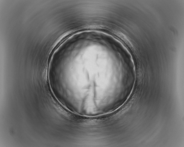 X0000113371228200909291044