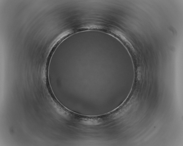 X0000113371229200909291044