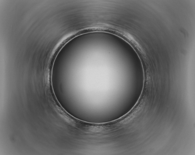 X0000113371232200909291044