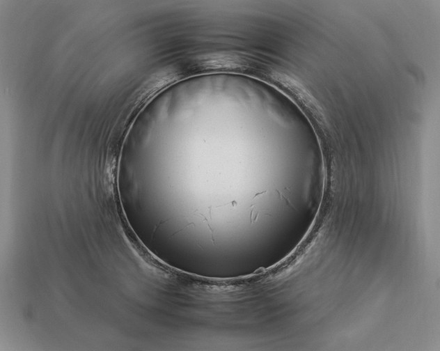 X0000113371233200909291044