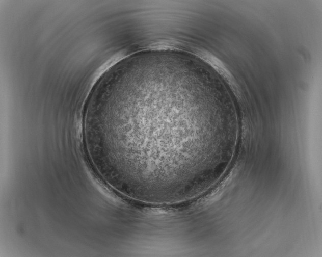 X0000113371234200909291044