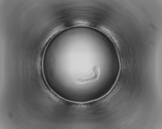 X0000113371235200909291044