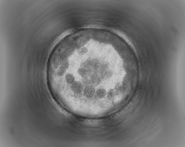 X0000113371237200909291044