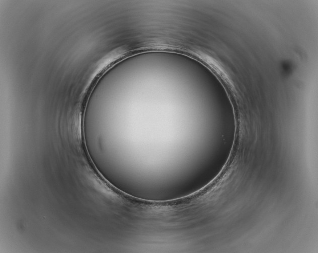 X0000113371238200909291044