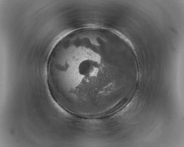 X0000113371239200909291044