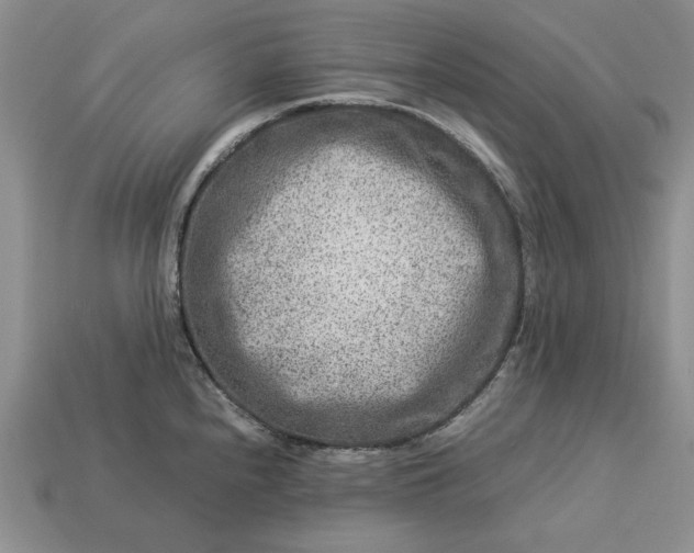 X0000113371240200909291044