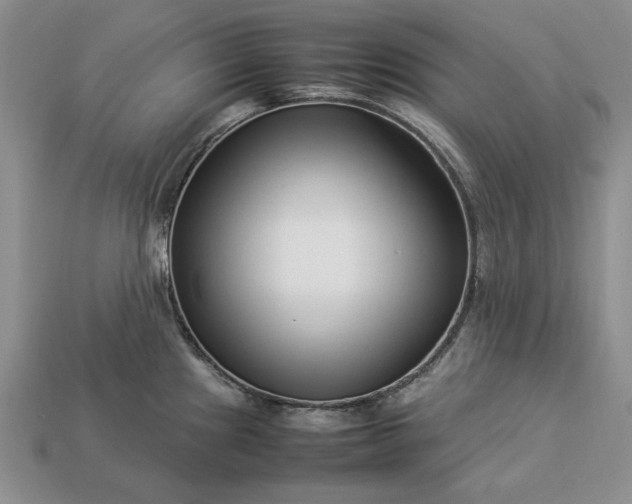 X0000113371241200909291044