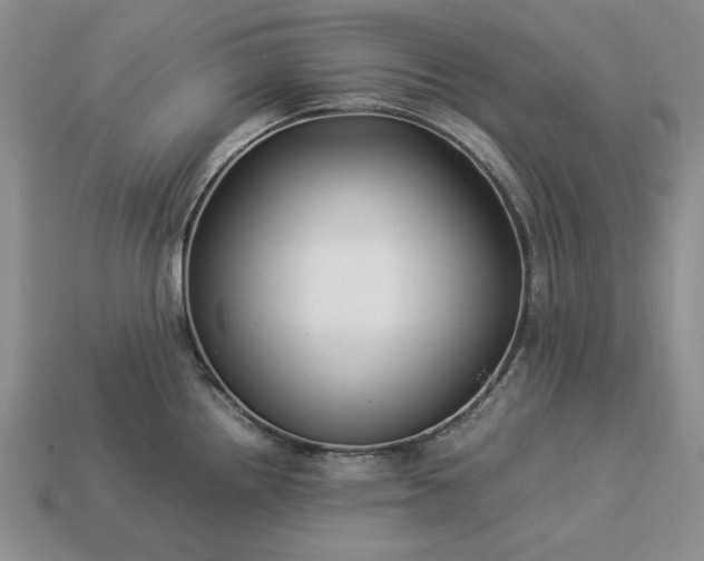 X0000113371242200909291044