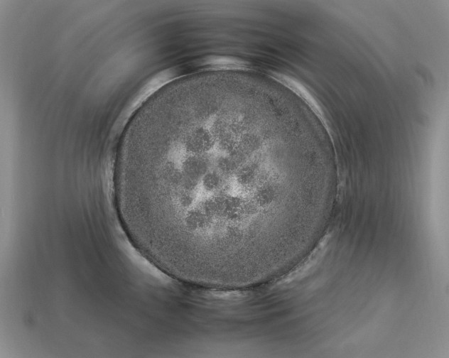 X0000113371243200909291044