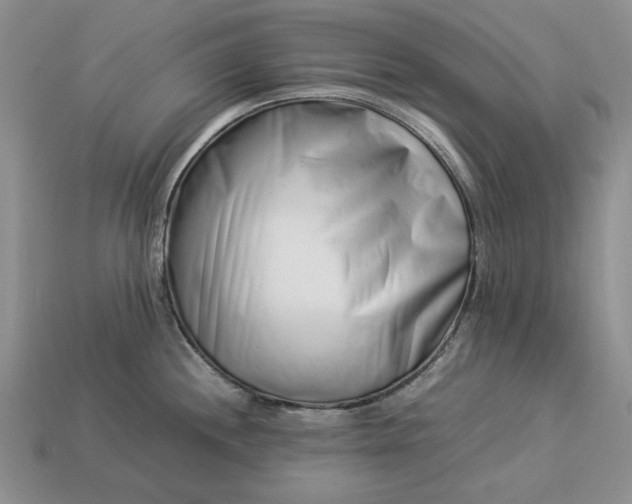 X0000113371244200909291044