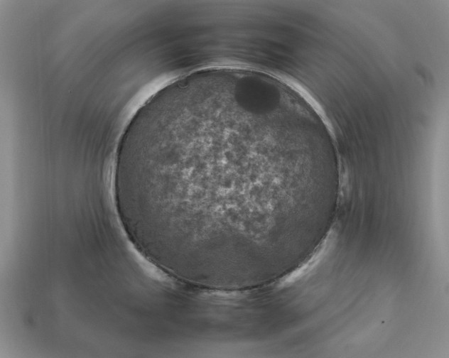 X0000113371245200909291044