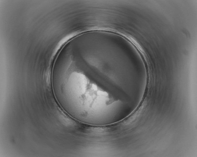 X0000113371246200909291044