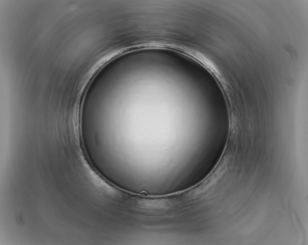 X0000113371247200909291044